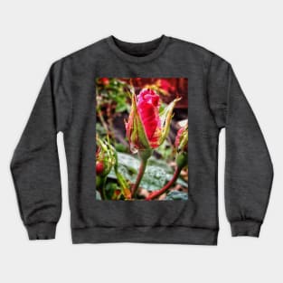 Rosebud after rain Crewneck Sweatshirt